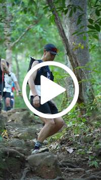 BIB:  <button type="button" onclick="openModal(27644359)" class="btn btn-primary btn-sm float-right" data-toggle="modal" data-target=".modal-high-quality">
                <i class="fa fa-download"></i> Download
                </button>